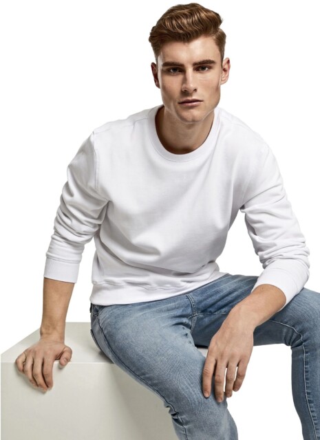 Premium crewneck sweatshirt BUILD YOUR BRAND BY119