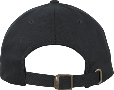 Low Profile Organic Cotton Cap FLEXFIT FX6245OC