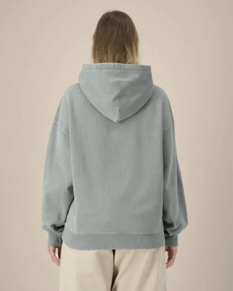 Slammer 2.0 vintage STANLEY/STELLA STSU211