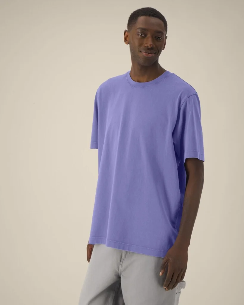 STANLEY/STELLA Freestyler Vintage | STTU073