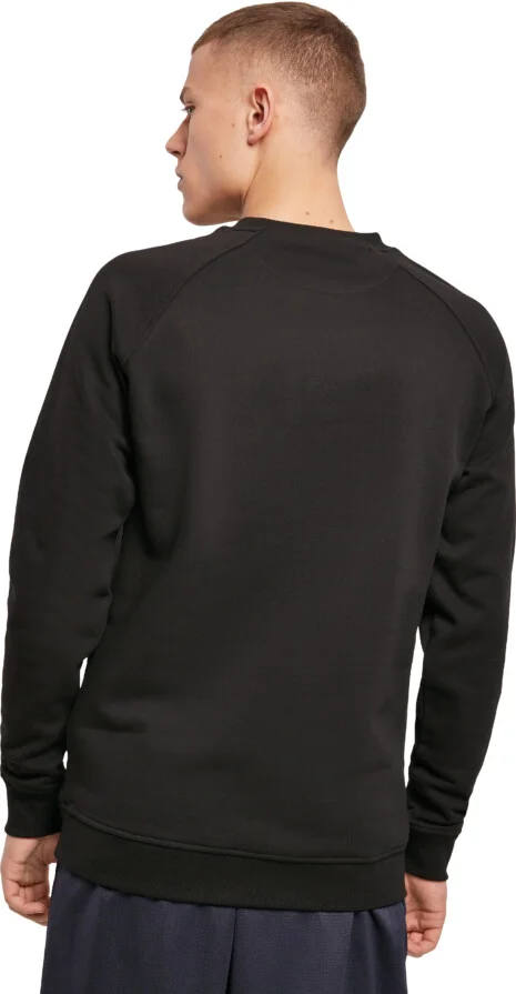 Raglan Sweat Crewneck Raglan Sweat Crewneck