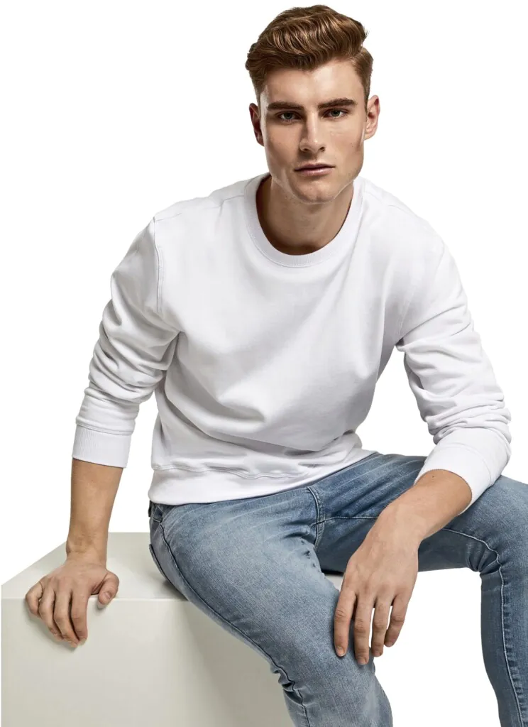 BUILD YOUR BRANDPremium Crewneck Sweatshirt | BY119